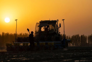 机器奔驰科技助力！新疆3700万亩棉花全面开播